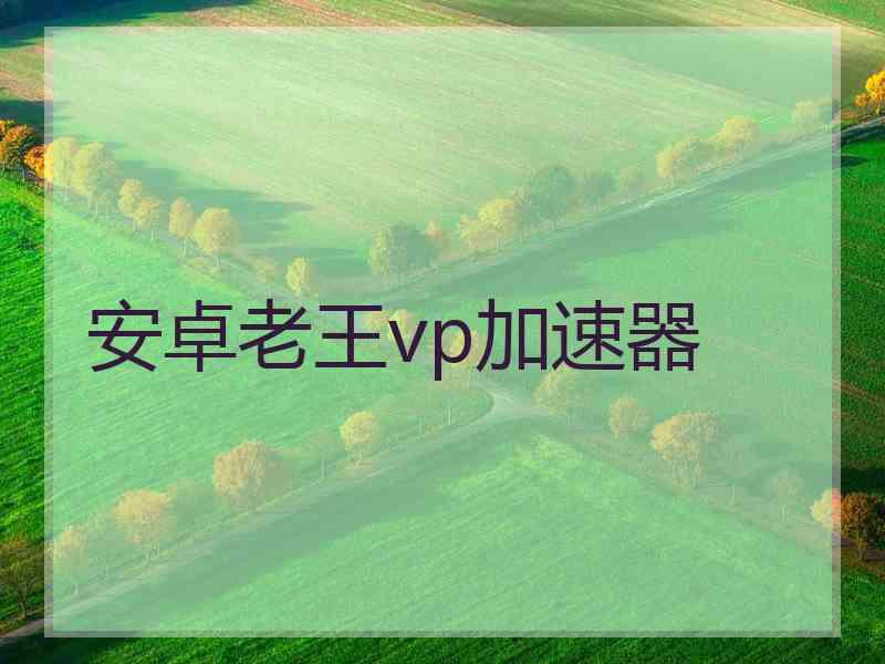 安卓老王vp加速器