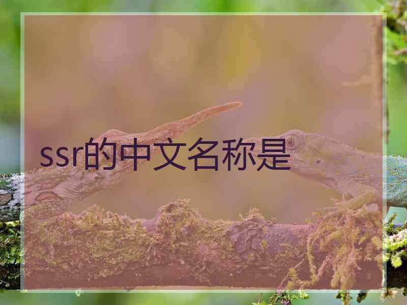 ssr的中文名称是