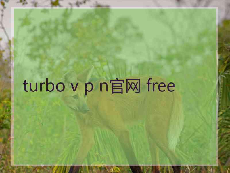 turbo v p n官网 free