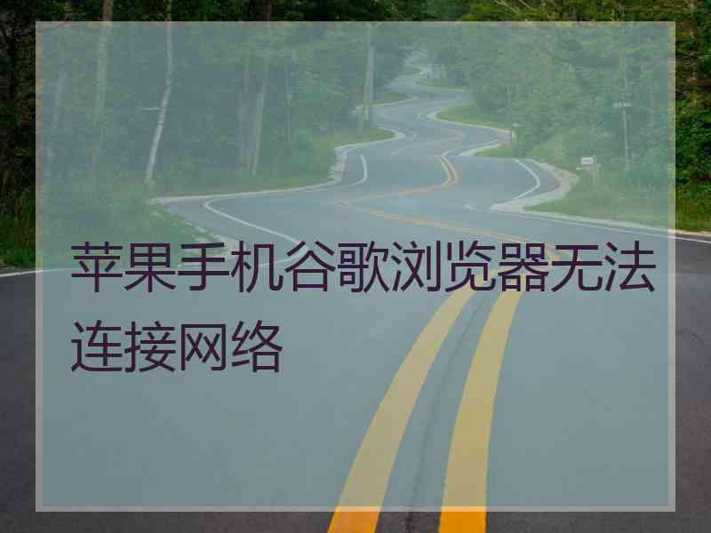 苹果手机谷歌浏览器无法连接网络