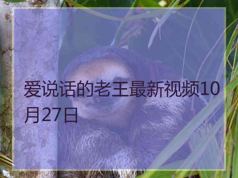 爱说话的老王最新视频10月27日