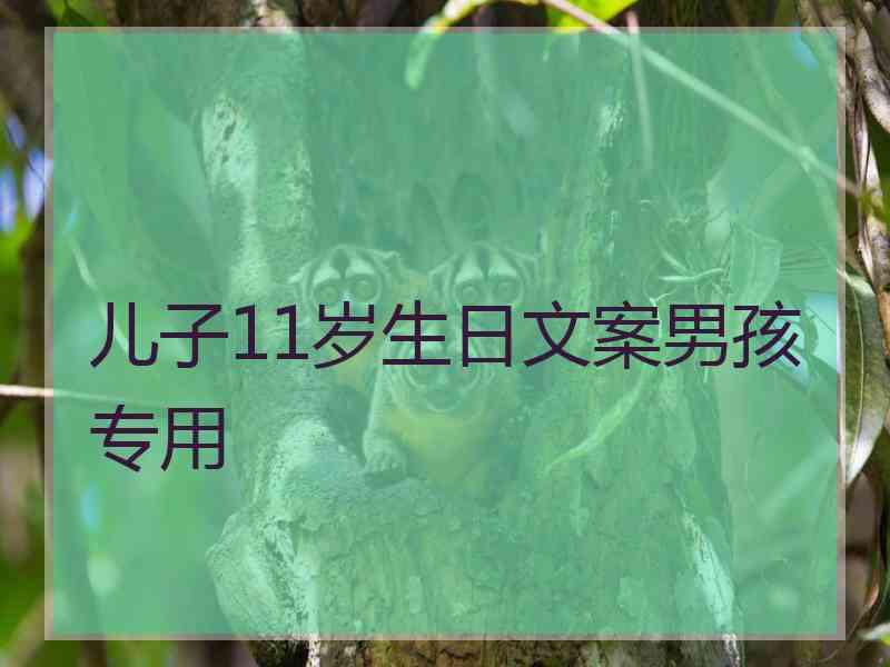 儿子11岁生日文案男孩专用