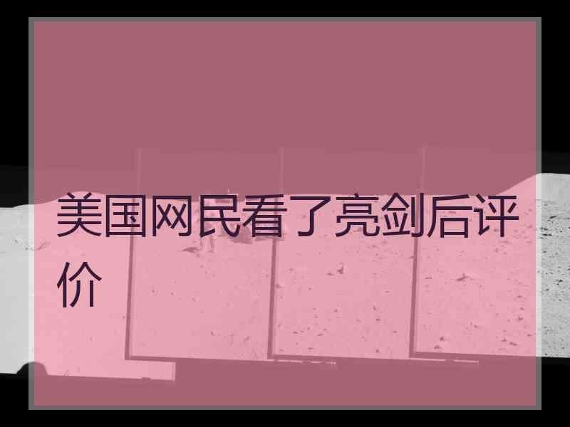 美国网民看了亮剑后评价