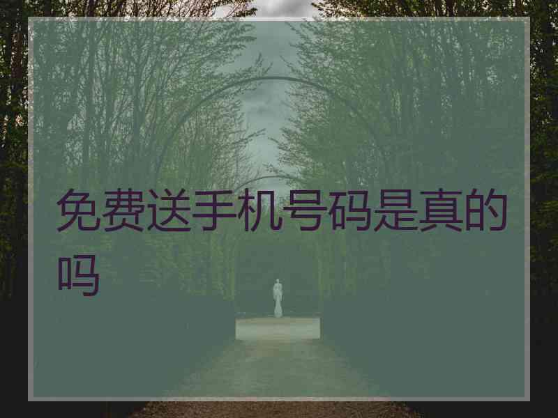 免费送手机号码是真的吗