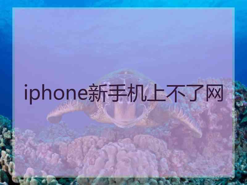 iphone新手机上不了网