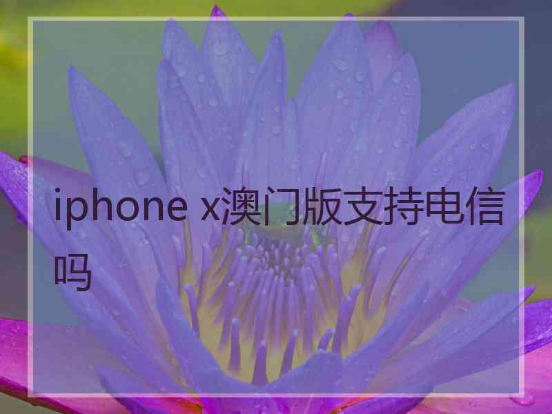 iphone x澳门版支持电信吗