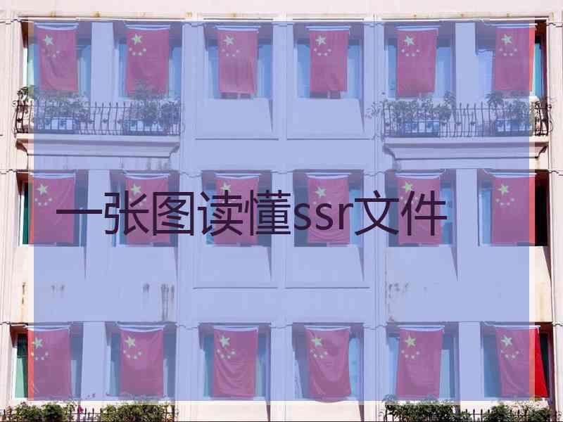 一张图读懂ssr文件