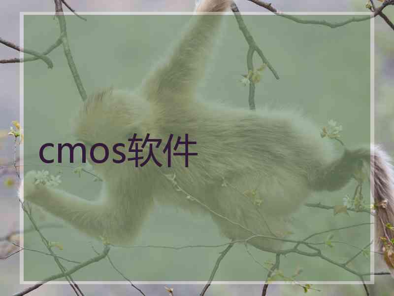 cmos软件