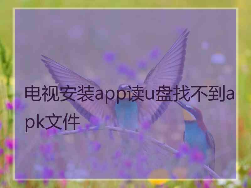 电视安装app读u盘找不到apk文件