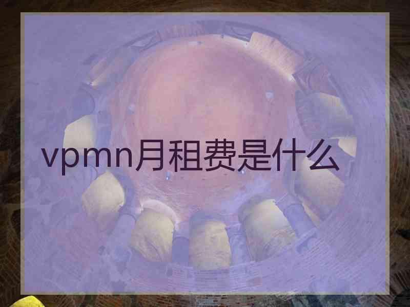 vpmn月租费是什么