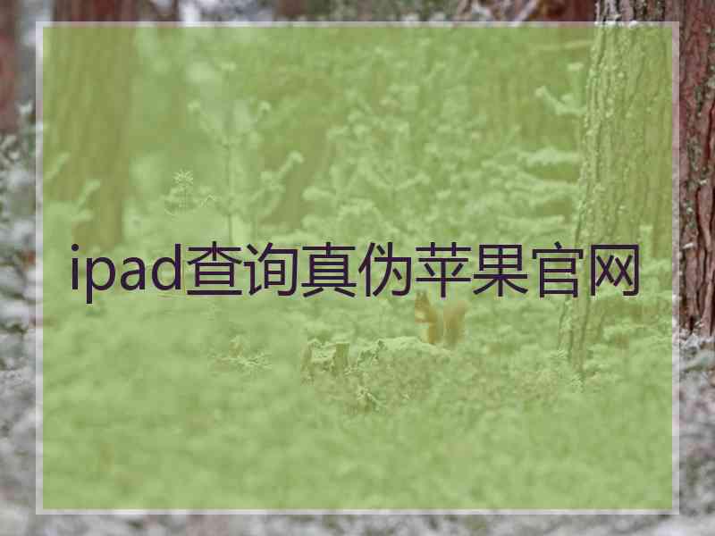 ipad查询真伪苹果官网