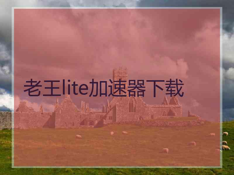 老王lite加速器下载