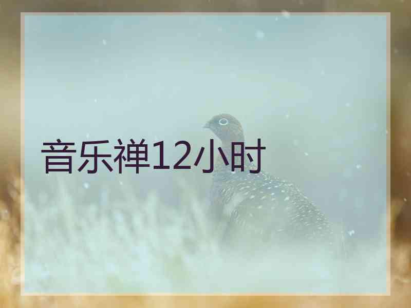 音乐禅12小时