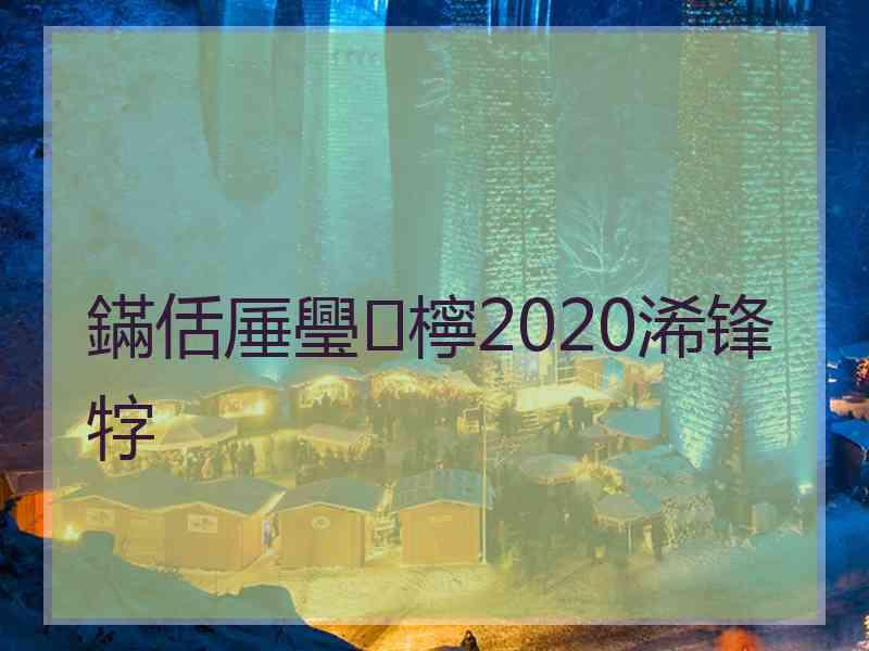 鏋佸厜璺檸2020浠锋牸