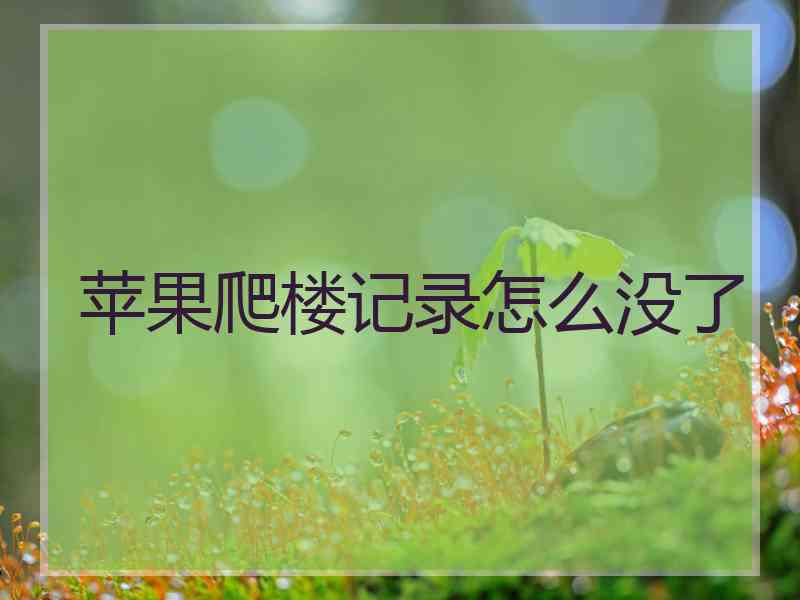 苹果爬楼记录怎么没了