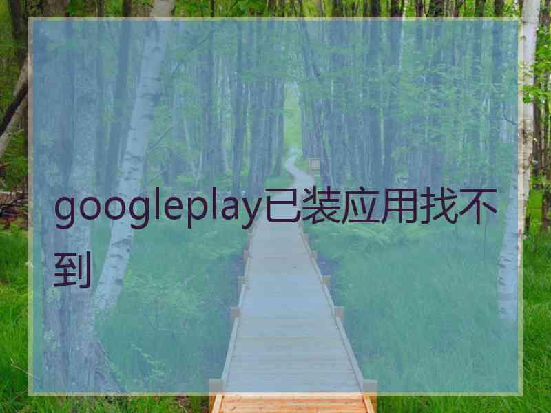 googleplay已装应用找不到