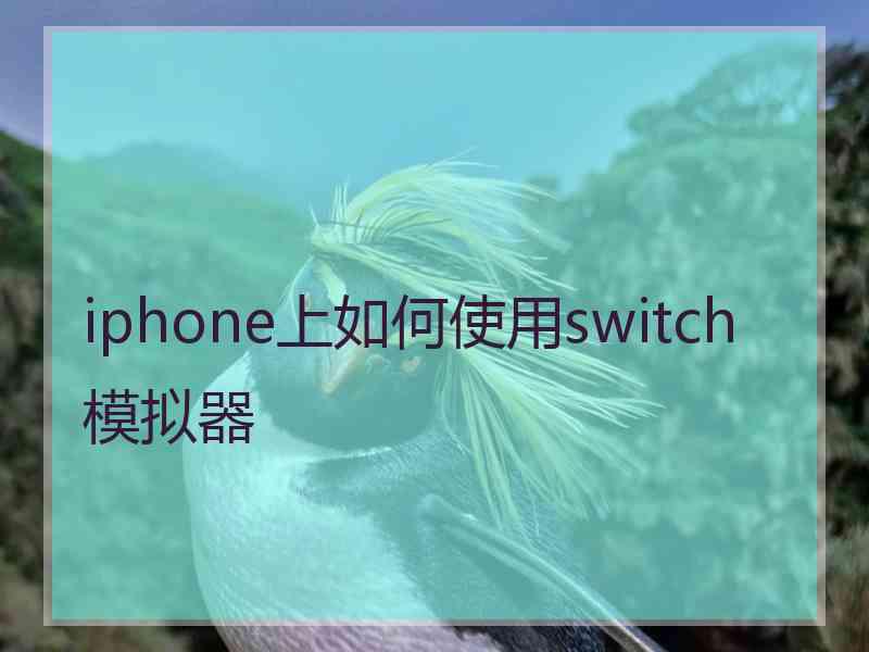 iphone上如何使用switch模拟器