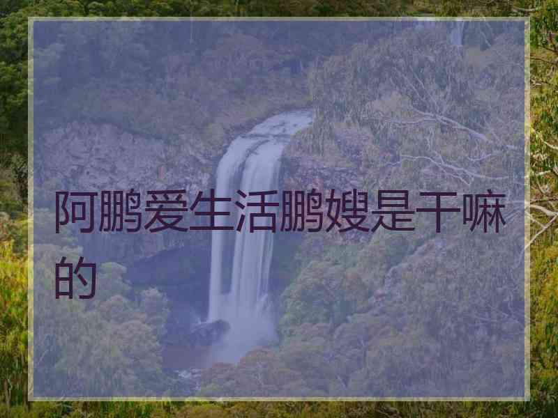 阿鹏爱生活鹏嫂是干嘛的