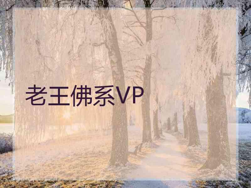 老王佛系VP