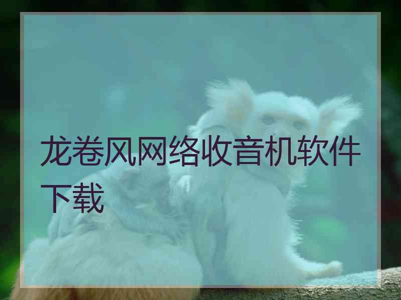 龙卷风网络收音机软件下载