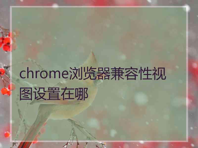 chrome浏览器兼容性视图设置在哪