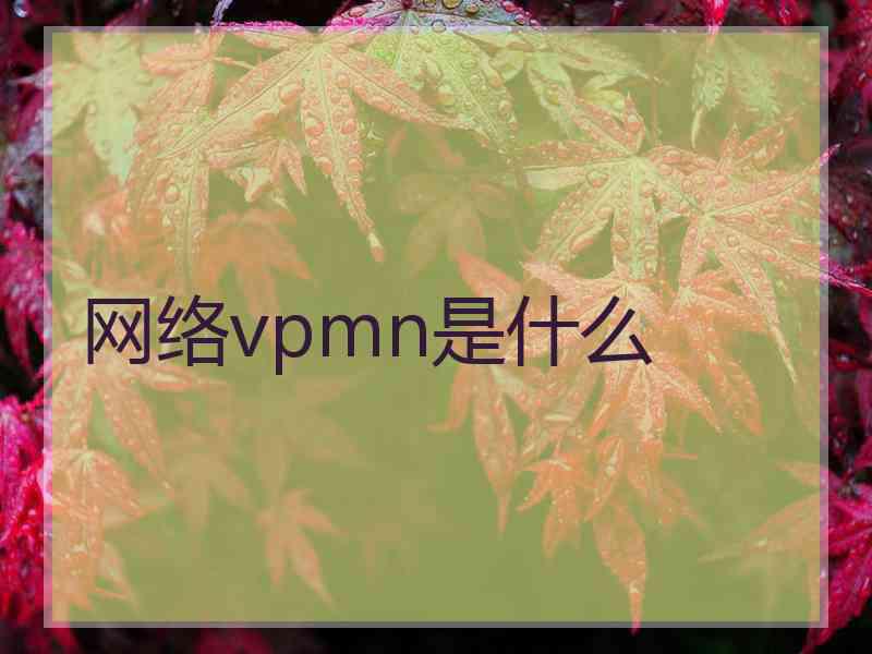 网络vpmn是什么