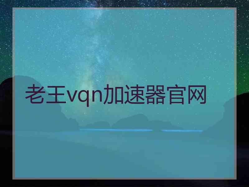 老王vqn加速器官网