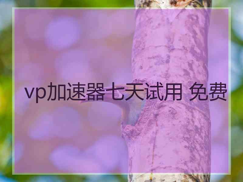 vp加速器七天试用 免费