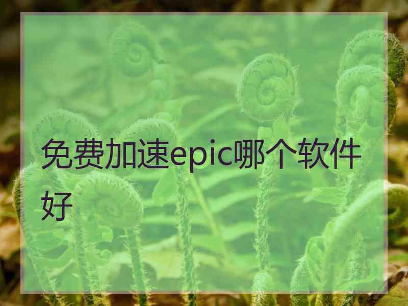 免费加速epic哪个软件好