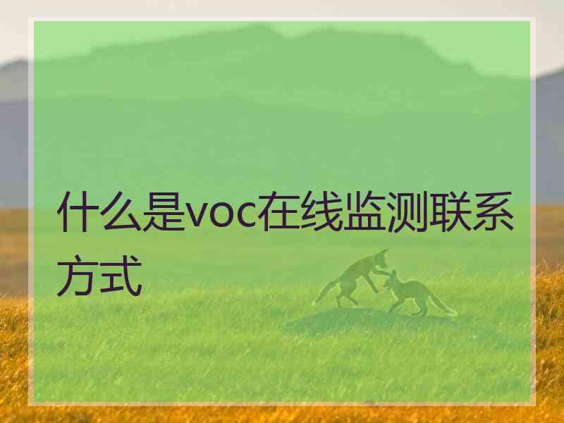 什么是voc在线监测联系方式