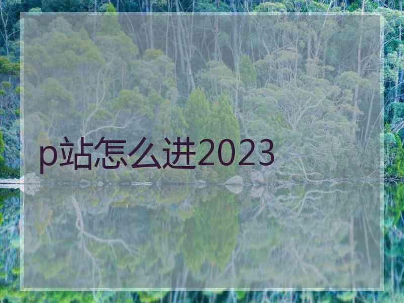 p站怎么进2023