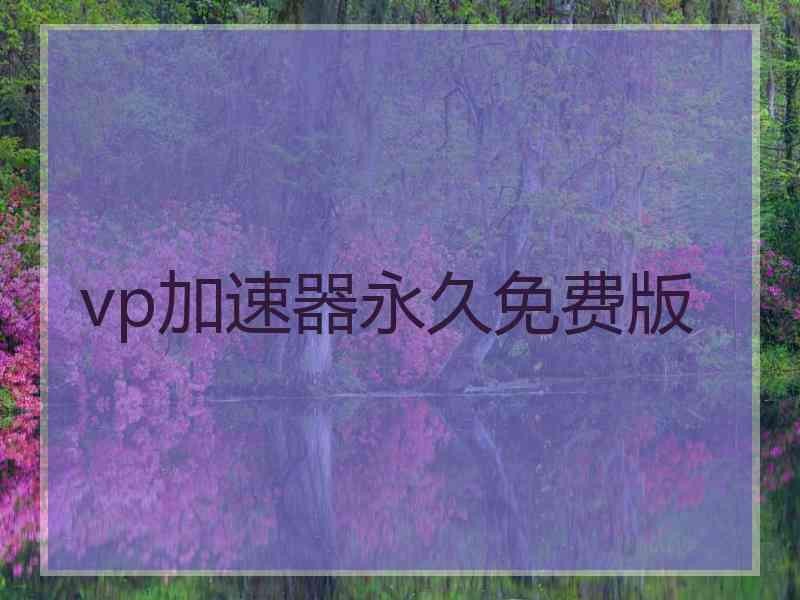 vp加速器永久免费版