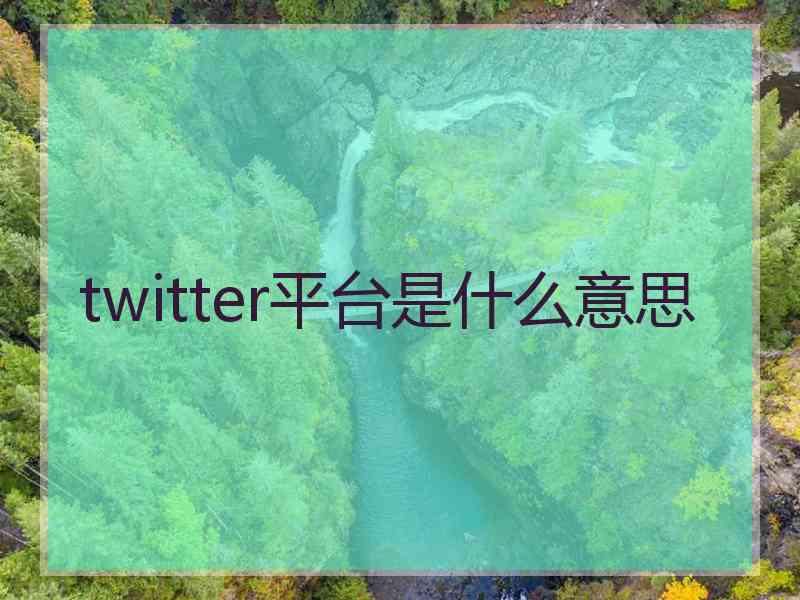 twitter平台是什么意思