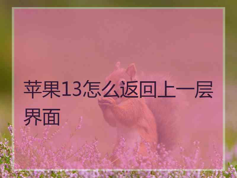 苹果13怎么返回上一层界面