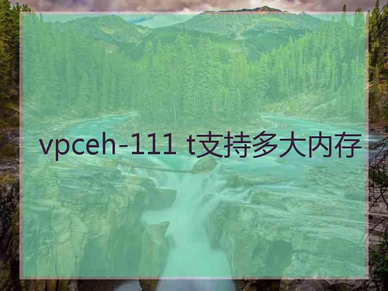 vpceh-111 t支持多大内存