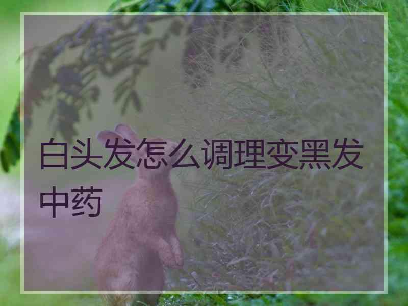 白头发怎么调理变黑发中药