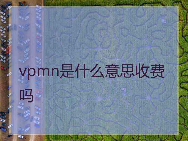 vpmn是什么意思收费吗