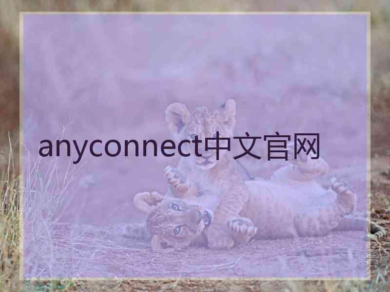 anyconnect中文官网