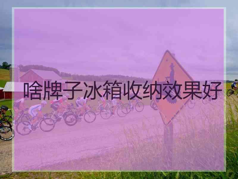 啥牌子冰箱收纳效果好