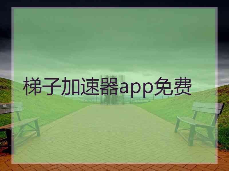 梯子加速器app免费