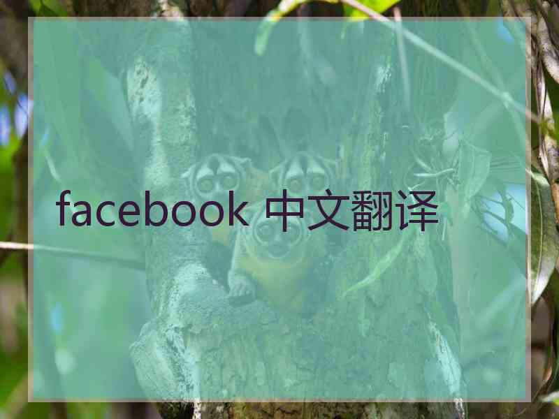 facebook 中文翻译