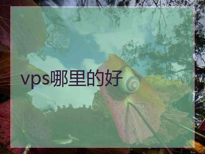 vps哪里的好