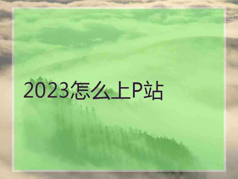 2023怎么上P站