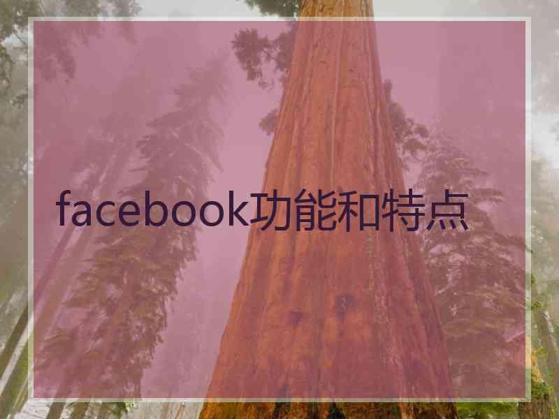 facebook功能和特点