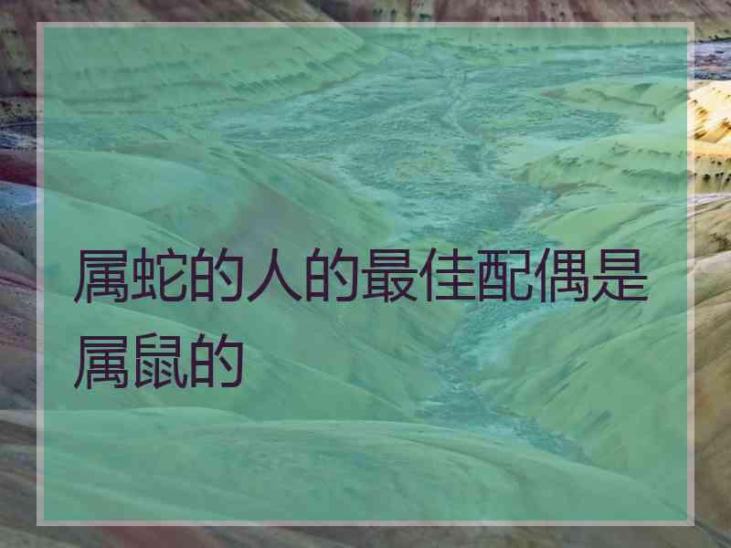 属蛇的人的最佳配偶是属鼠的