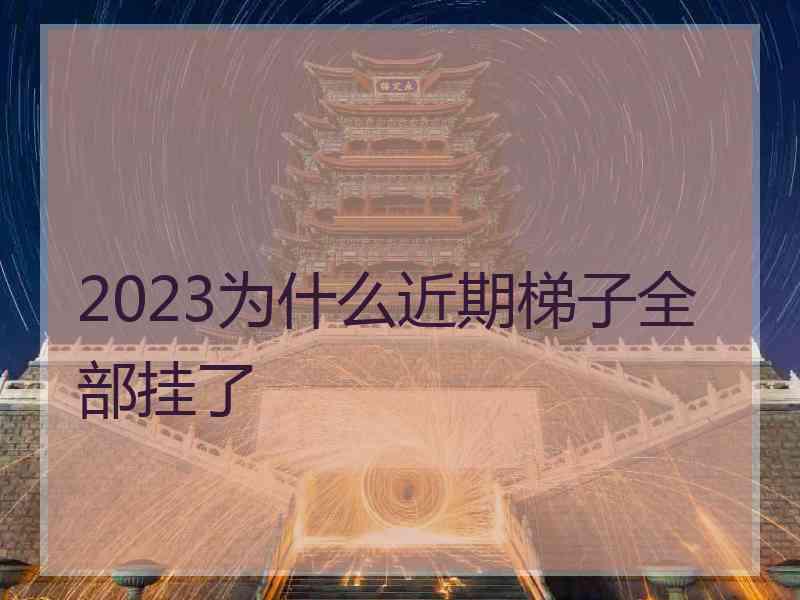 2023为什么近期梯子全部挂了