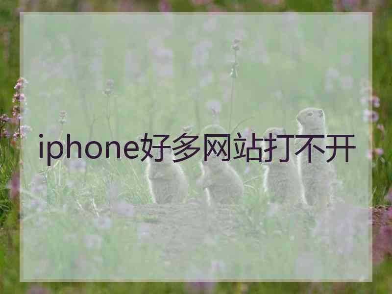 iphone好多网站打不开