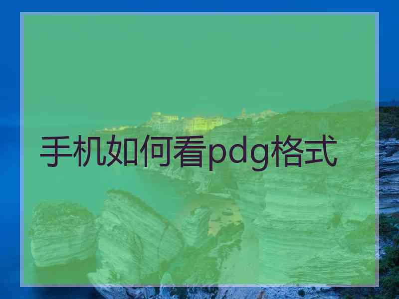 手机如何看pdg格式