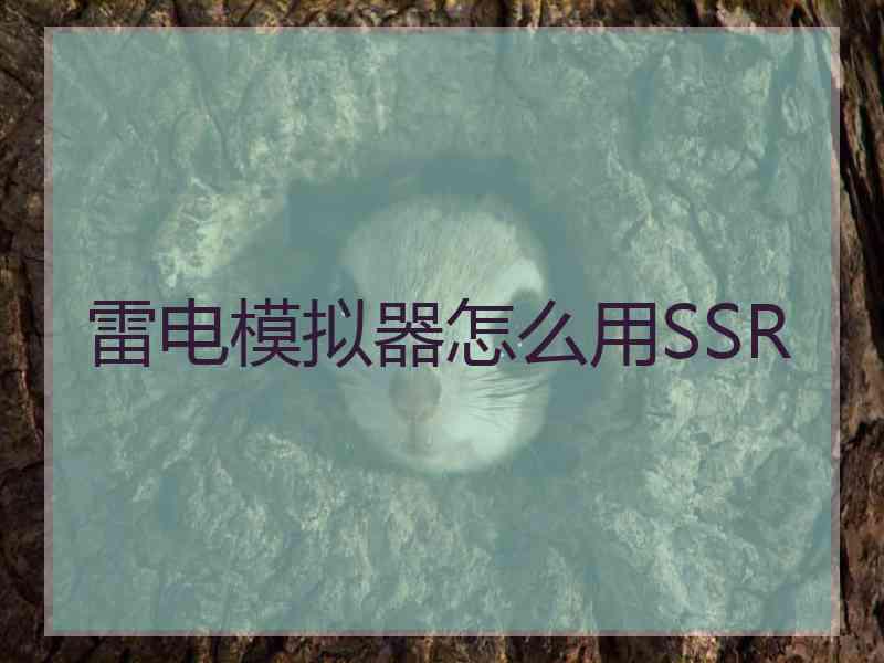 雷电模拟器怎么用SSR