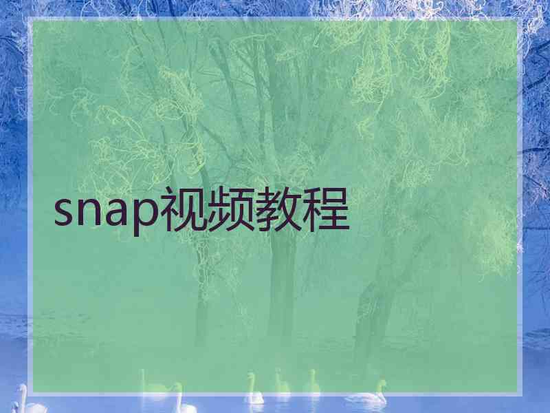 snap视频教程